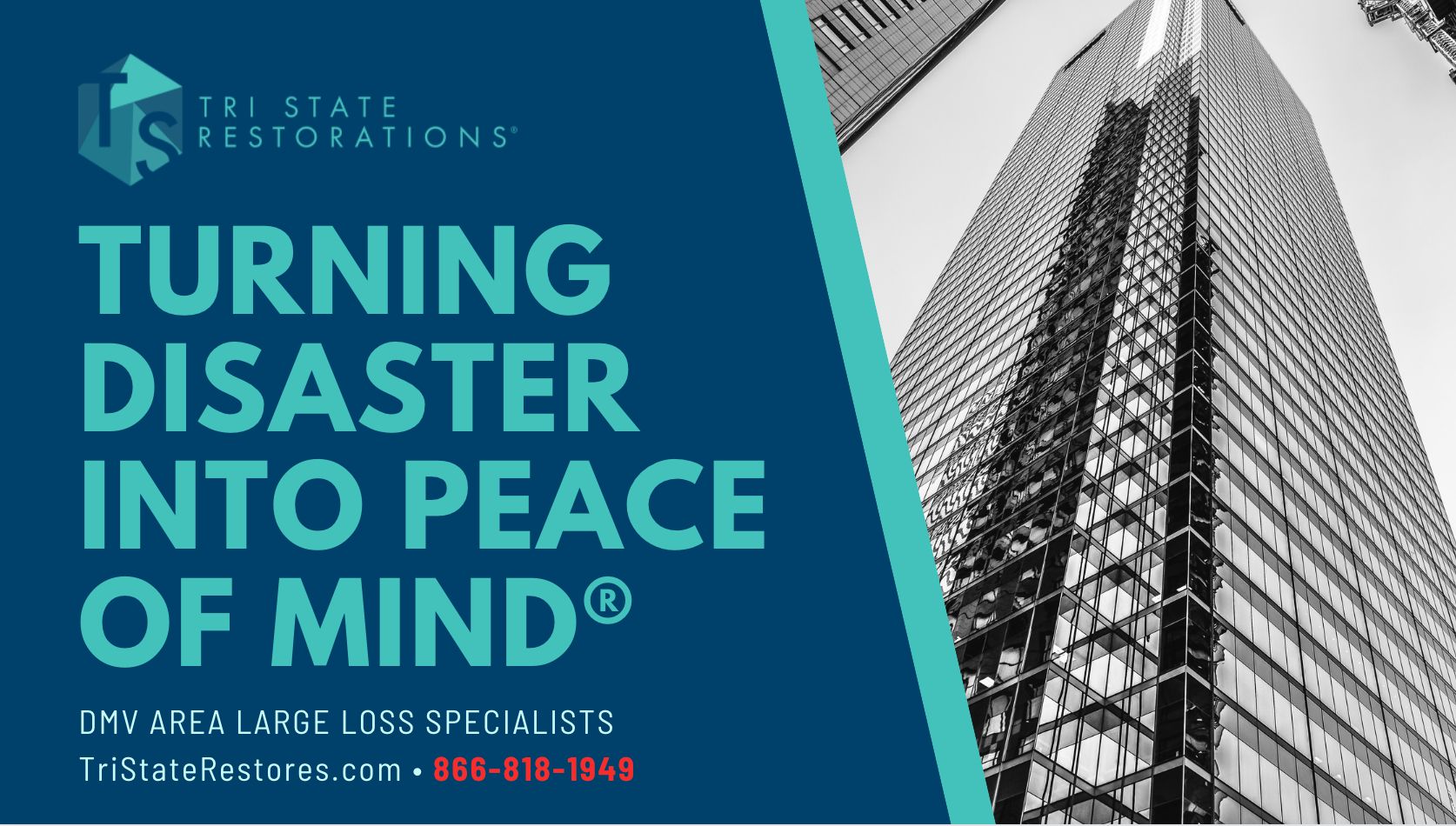 Tri State Restorations Features Local Artists & Provides Holiday Cheer