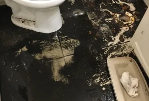 sewage cleanup