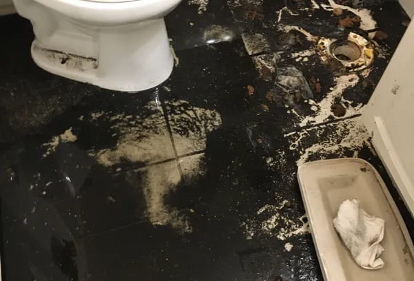 sewage cleanup services