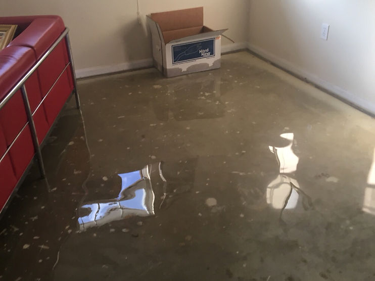 water mitigation and restoration