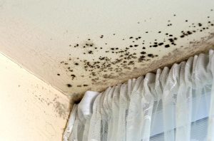hidden water damage signs